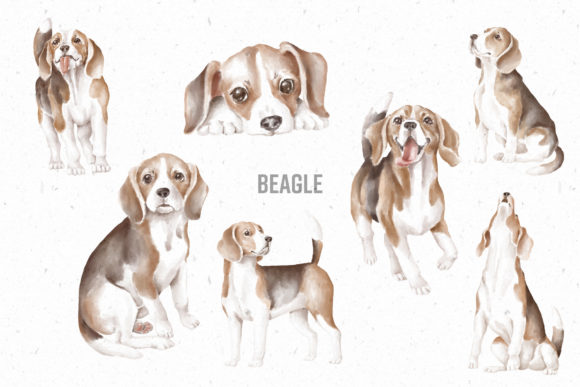 Download Beagle Dogs Hand Drawn Clipart Png - Beagle Collection